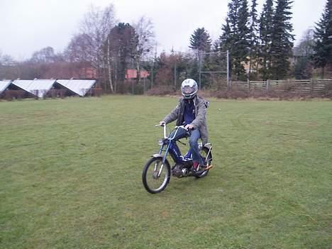 Puch Maxi K billede 6