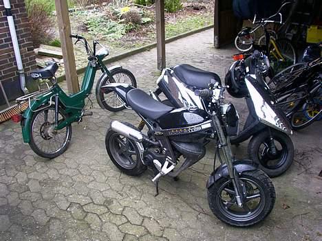 Puch Maxi KL billede 7