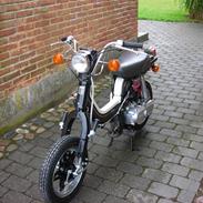 Suzuki FZ50 