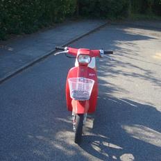 Honda Melody [SOLGT]