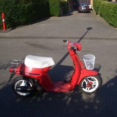 Honda Melody [SOLGT]