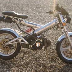 Sachs - # -  Madass ((BYTTET))