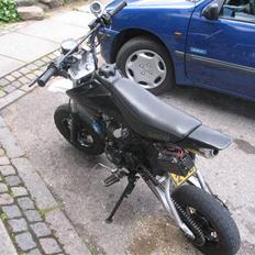 MiniBike Shineray 125cc OC dd