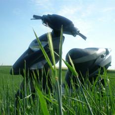 Honda SFX MHR **SOLGT**