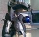 Aprilia Rally AC 86%