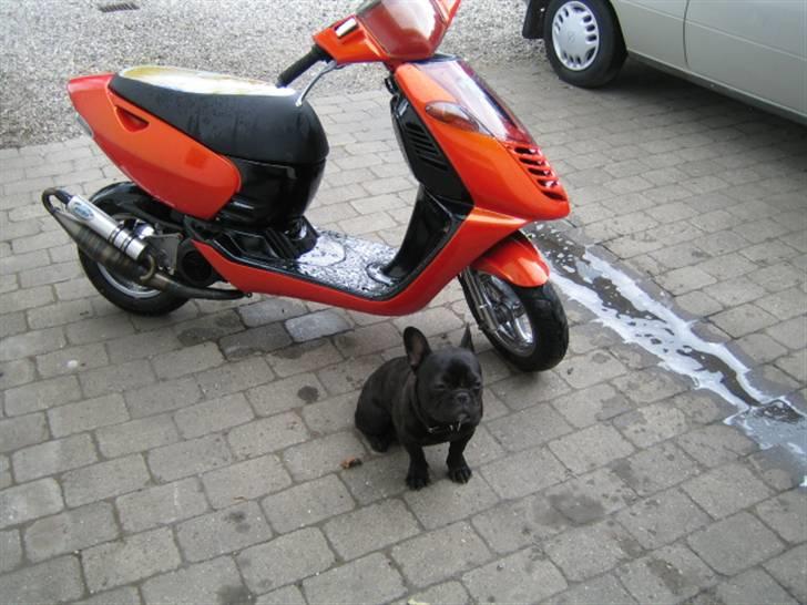 Aprilia sonic billede 5