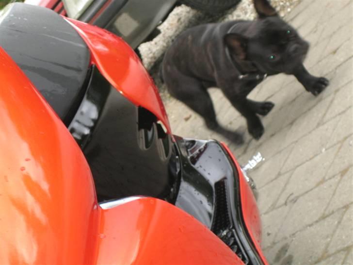 Aprilia sonic billede 11