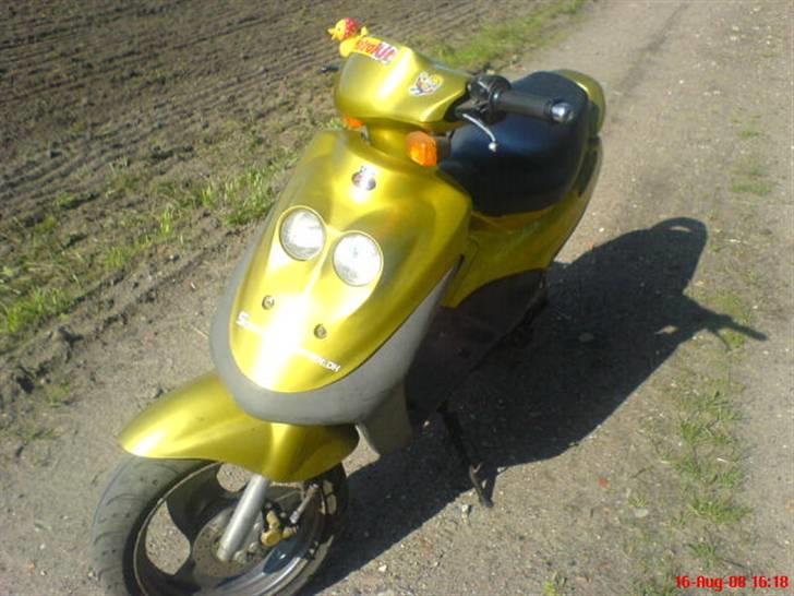 Adly cat  solgt - lige ude i solen billede 1