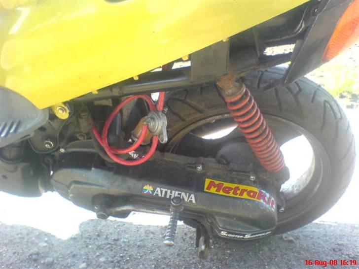 Adly cat  solgt billede 2