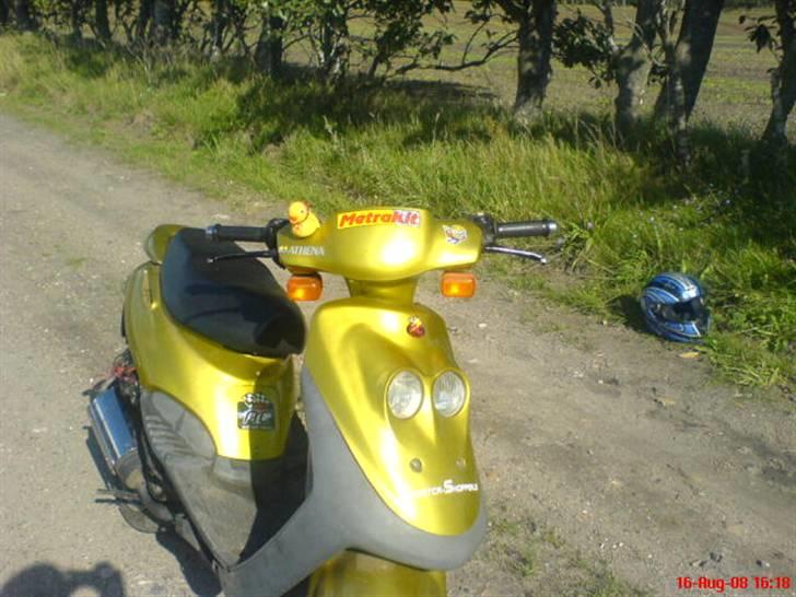 Adly cat  solgt billede 3