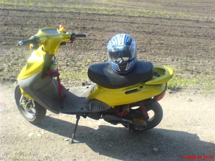 Adly cat  solgt - spejlvisir er på vej billede 7