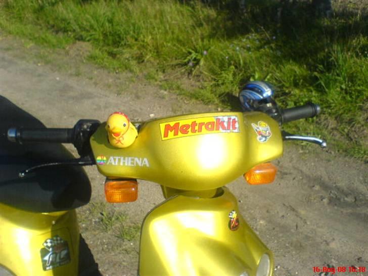 Adly cat  solgt billede 8