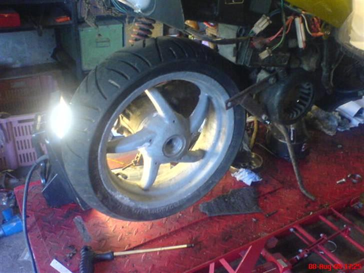 Adly cat  solgt - med sr50 bagfælg nice billede 9