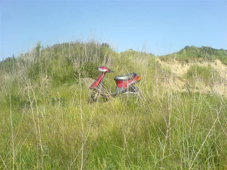 PGO comet Til salg billede 15