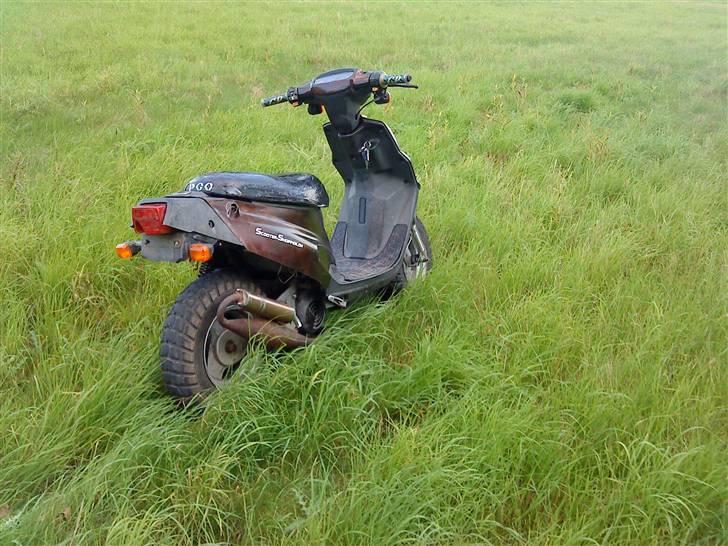 PGO Hot 50 ~Byttet til CPI~ - Billede taget 20 min inden den blev hentet...  SAVNER DEN! billede 3