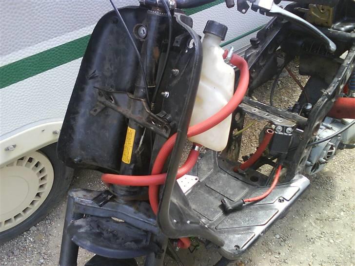 Piaggio typhon Byttet  billede 10