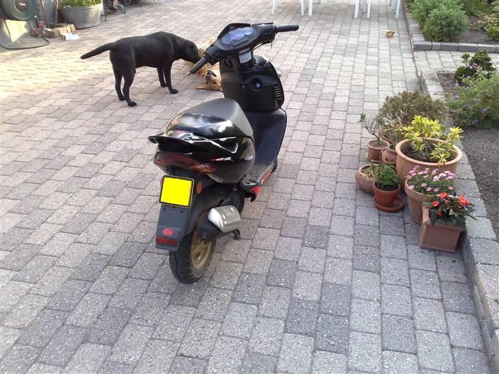 Aprilia Sonic billede 4