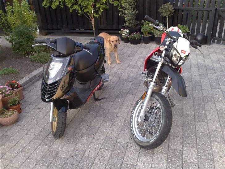 Aprilia Sonic billede 5