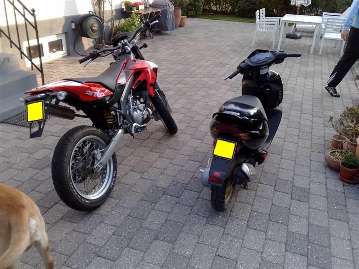 Aprilia Sonic billede 6