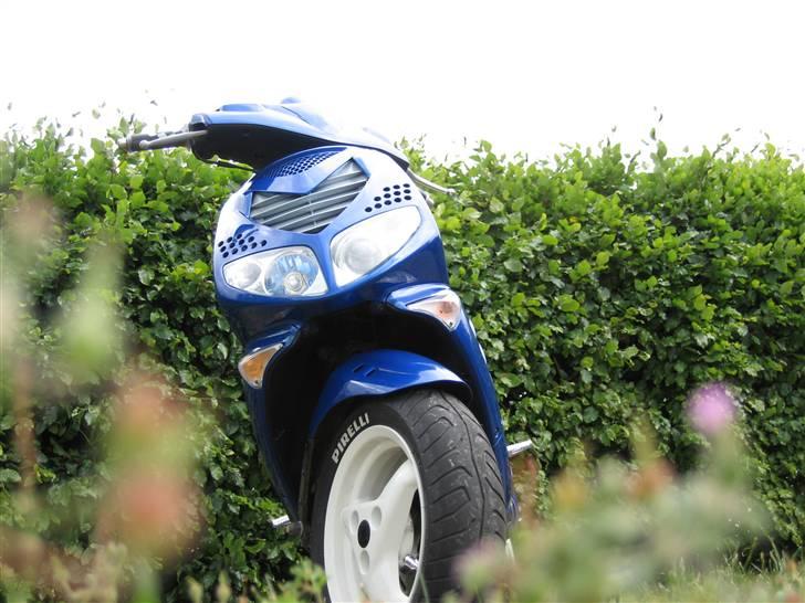 Peugeot Speedfight 307 WRC- SOLGT billede 10