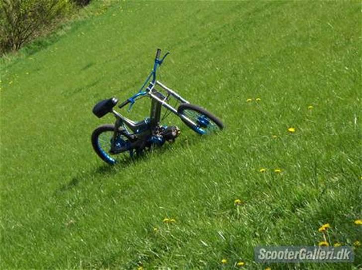 Puch Maxi K billede 5