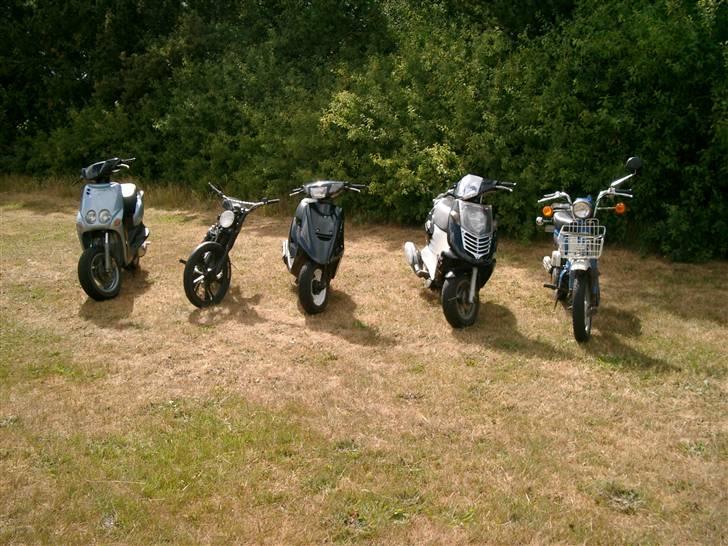 Tomos Quadro (Solgt) - Fra v. Jønnes Neos, Min Tomos, Molles Jog, Lysts Sonic og Lennys fz50er. xD billede 10