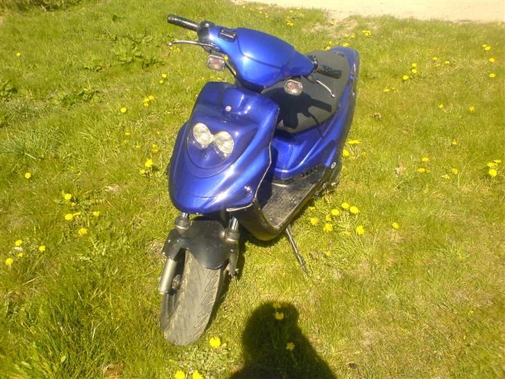 PGO Hot 50 (lotte) - Lotte billede 1