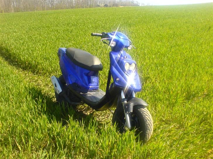 PGO Hot 50 (lotte) - Lotte billede 3