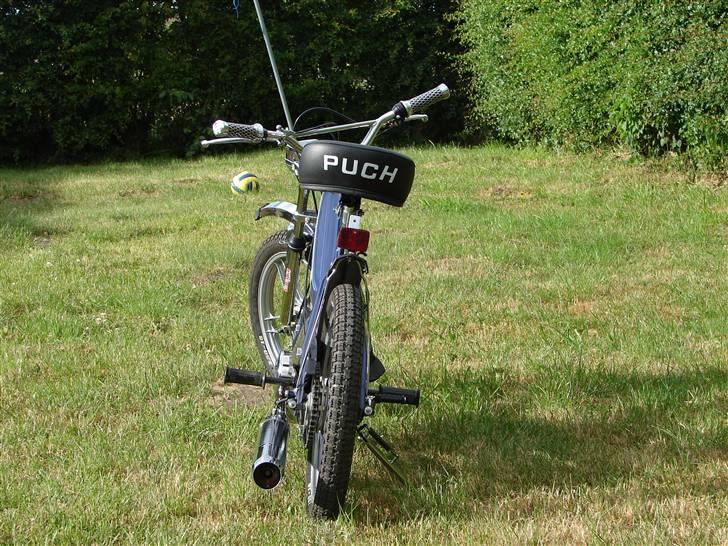 Puch Maxi k 1973 (SOLGT)  billede 6