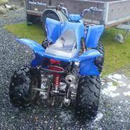 MiniBike raptor byttet