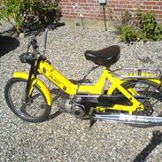 Puch maxi p Bananen