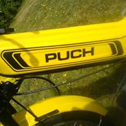 Puch maxi p Bananen