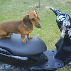 Yamaha Jog R  SOLGT