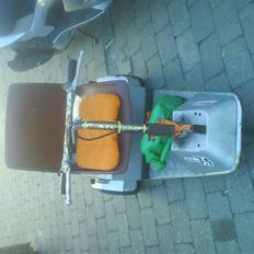 Veteraner TRILLERT<< SOLGT!!