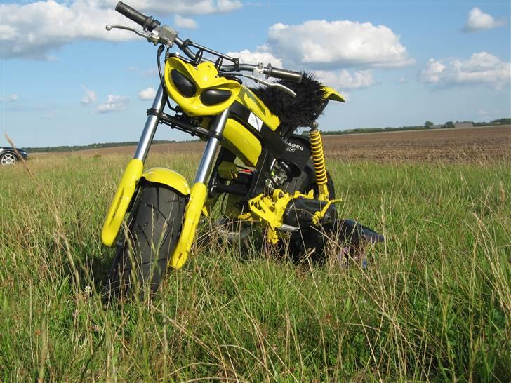 Suzuki Street Magic 'Vipsen' Tilsalg billede 1