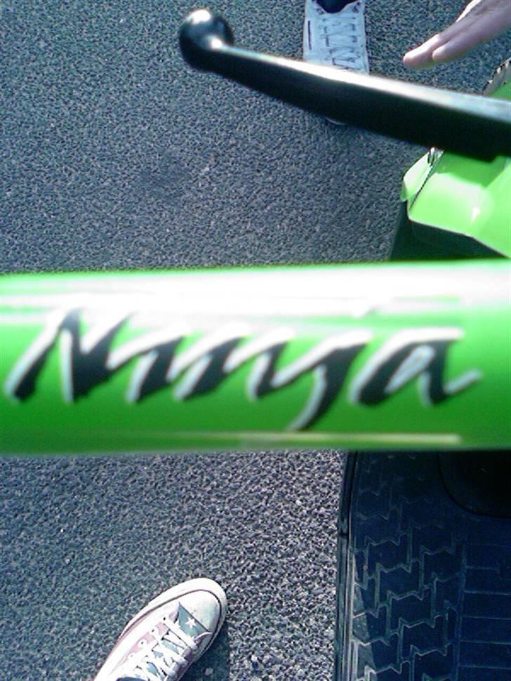 PGO Hot 50 billede 8