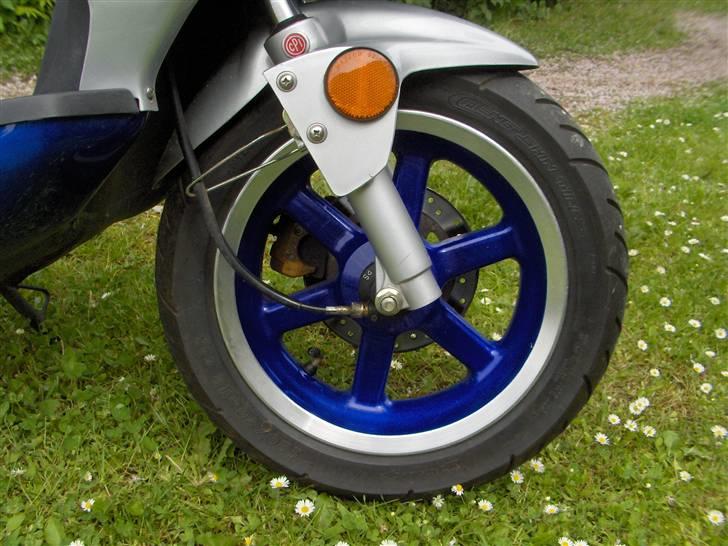 CPI Hussar [ solgt ] billede 6