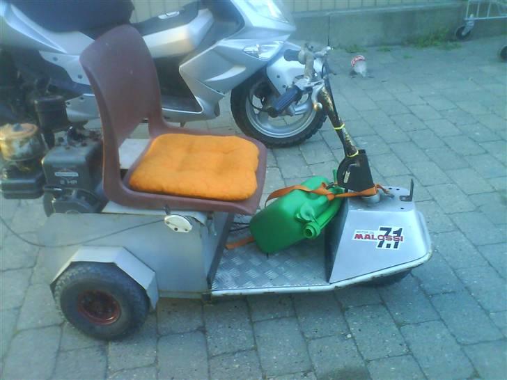 Veteraner TRILLERT<< SOLGT!! billede 1