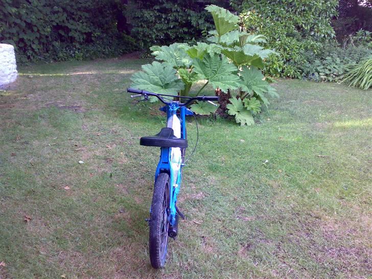 Piaggio vespa ciao billede 2