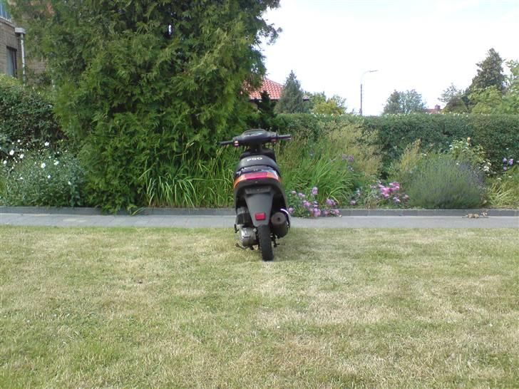 PGO Comet - Venstre baglygte skiftet  billede 2