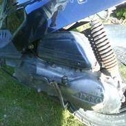 PGO Hot50 70cc *TIL SALG* 