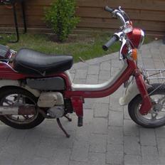 Suzuki fz 50 [SOLGT]