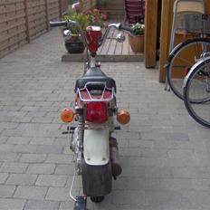 Suzuki fz 50 [SOLGT]