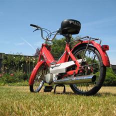 Puch Maxi p. SOLGT