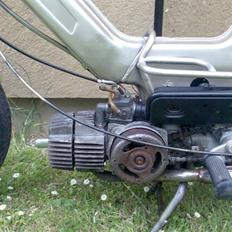 Puch Puch maxi FØR
