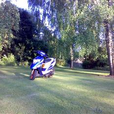 Honda Sfx-Repsol  ( Projekt ) 