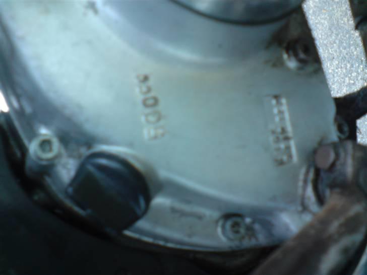 Suzuki Danmarks beste K50 billede 15