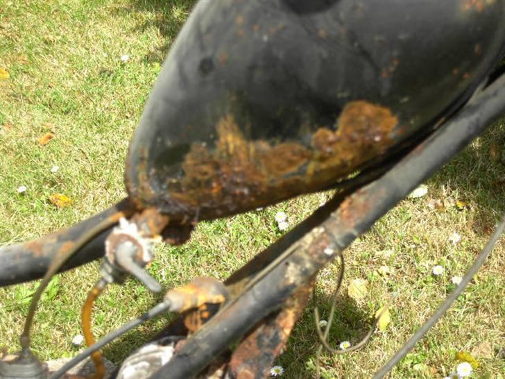 Sco 1 gear billede 4