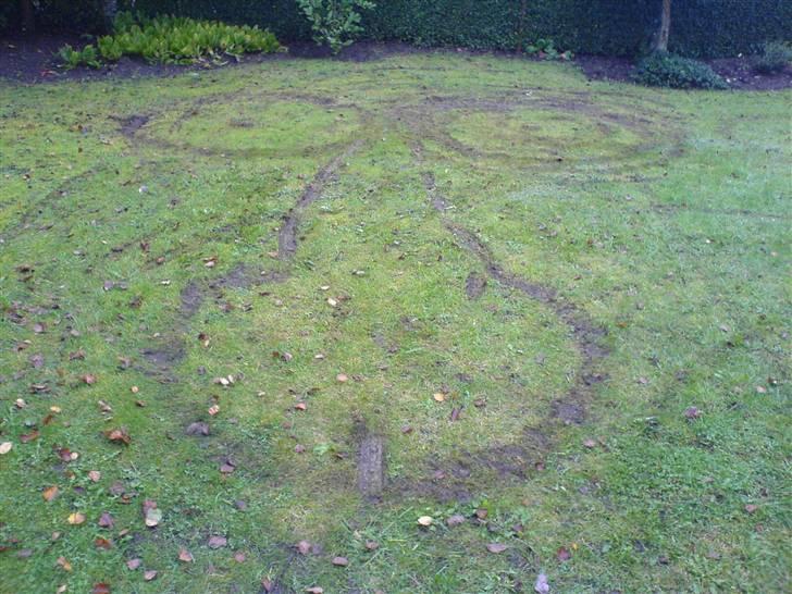 Kreidler lf - lille brænder i haven (ikke noget mutti blev glad for at se):) billede 13