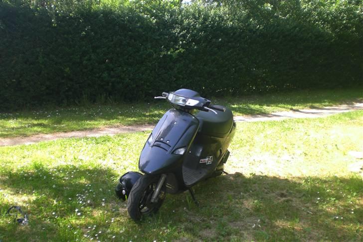 PGO ·comet Solgt billede 18